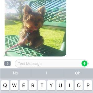 Meet your Posher, Diana