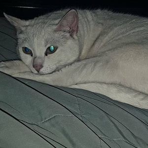 Meet your Posher, Ann