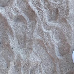 Meet your Posher, Sydney