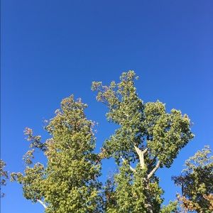 Meet your Posher, Eva