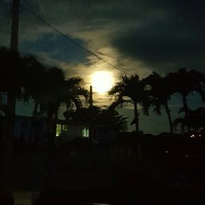 Meet your Posher, Ocasio