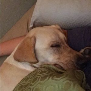 Meet your Posher, Anna