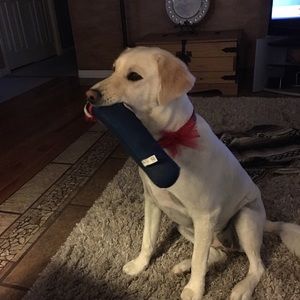 Meet your Posher, Tom