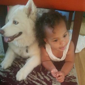 Meet your Posher, Abbey