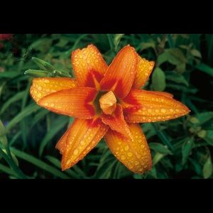 Meet your Posher, Agnieszka