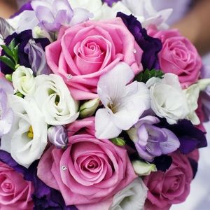 Meet your Posher, Janet