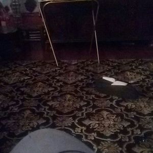 Meet your Posher, Ronny