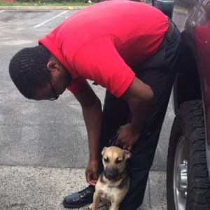 Meet your Posher, Carter