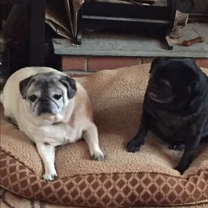 Meet your Posher, Tracy