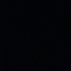 Meet your Posher, Bella