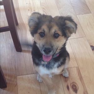 Meet your Posher, Lee anne