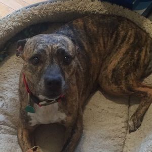 Meet your Posher, Leslie