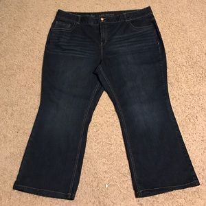 Lane Bryant Bootcut/ Tighter Tummy Technology!