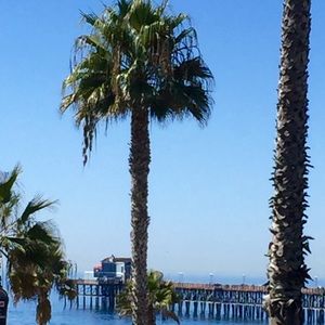 Meet your Posher, Lynn