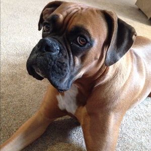 Meet your Posher, Christina