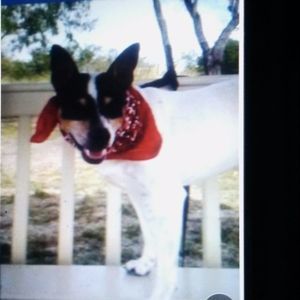 Meet your Posher, Melodie