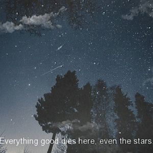 Meet your Posher, Willie