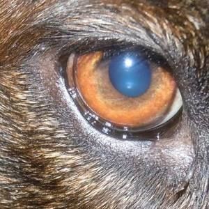 Meet your Posher, Lela