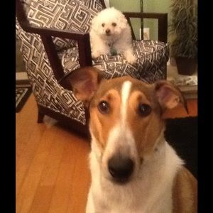 Meet your Posher, Deborah