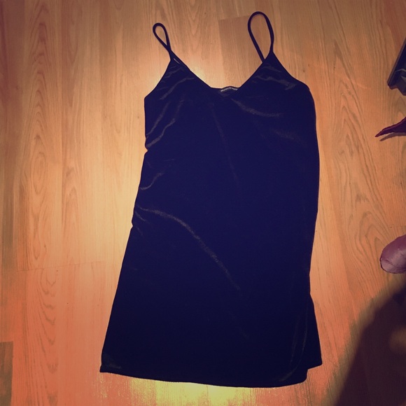 Gorgeous Brandy Melville Velvet Slip Dress