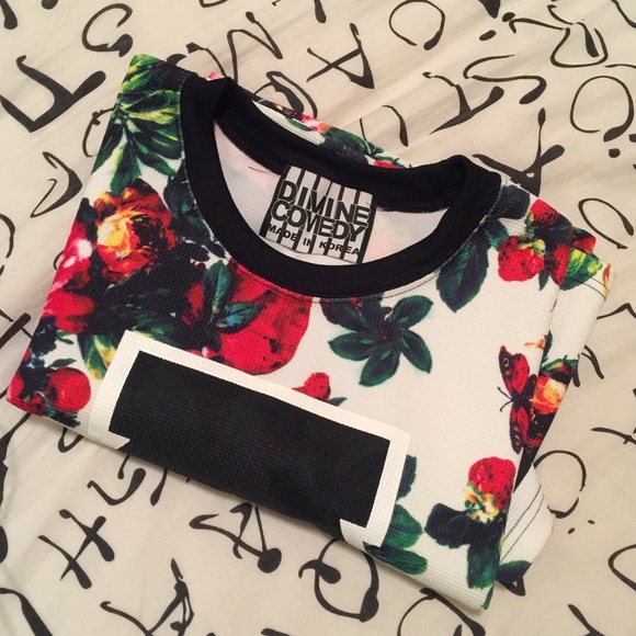 Divine Comedy - image 5