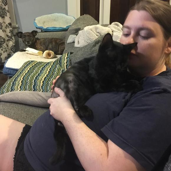 Meet your Posher, Alexis - Picture 1 of 1