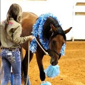 Meet your Posher, Lacey