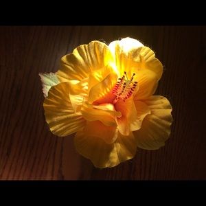 Meet your Posher, Carley