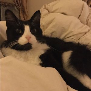 Meet your Posher, Jolie