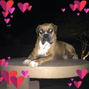 Meet your Posher, Lori