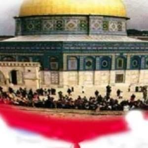 Meet your Posher, Abla