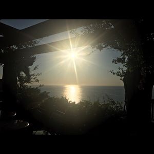 Meet your Posher, Anne