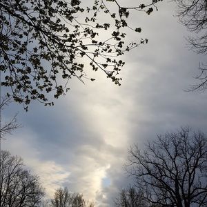 Meet your Posher, Rosana