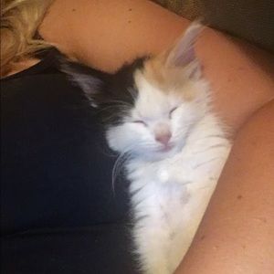 Meet your Posher, Becky