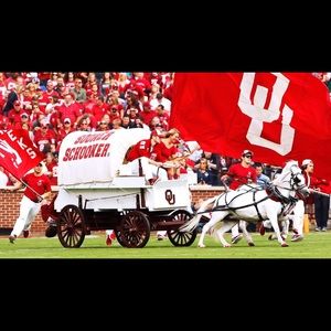 Meet your Posher, Cedon