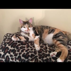 Meet your Posher, Sonja