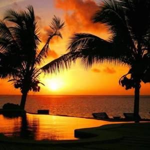 Meet your Posher, Dwight