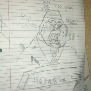 Meet your Posher, Nick