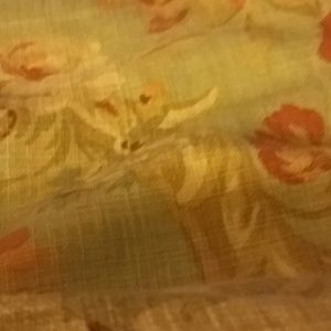 Meet your Posher, Derrick