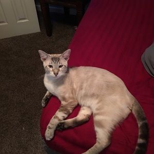 Meet your Posher, Christie