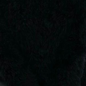 Meet your Posher, Madi