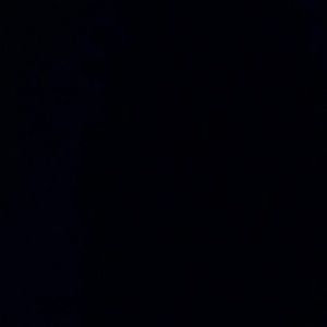 Meet your Posher, Terry