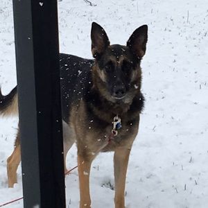 Meet your Posher, Shauna