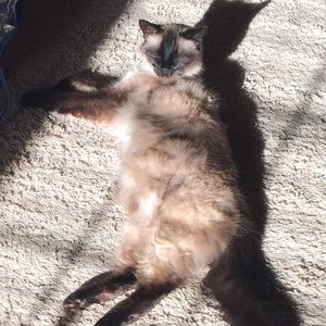 Meet your Posher, Melissa