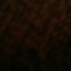 Meet your Posher, Kenny