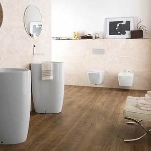 Meet your Posher, Art