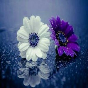 Meet your Posher, Jenn