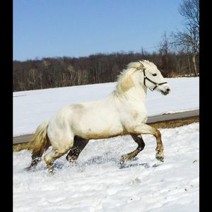 Meet your Posher, Melanie