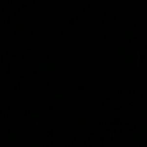 Meet your Posher, Starr