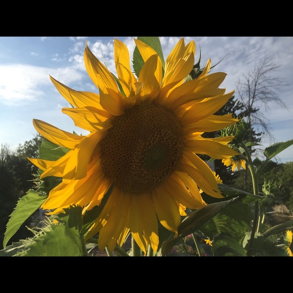 Meet your Posher, Donna